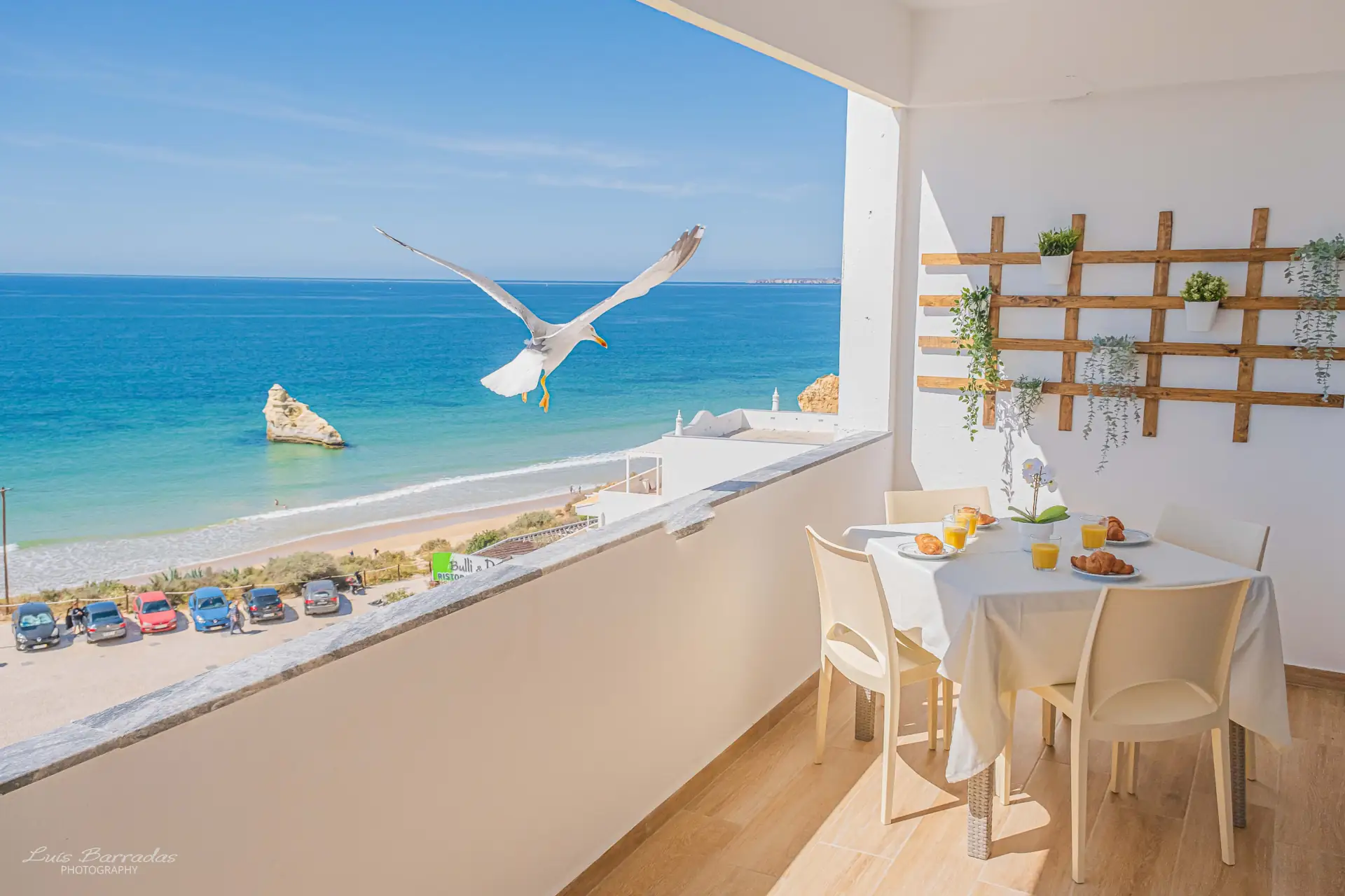 Apartment Ocean View